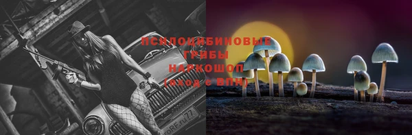 MESCALINE Няндома