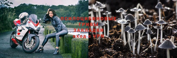 ALPHA PVP Вяземский