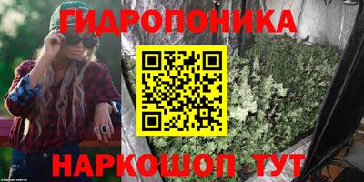 хмурый Кимры