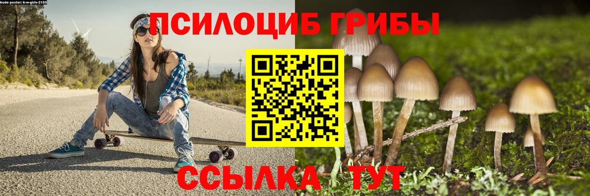 Галлюциногенные грибы Cubensis  Псилоцибиновые грибы прущие грибы  Ноябрьск  Вход с VPN 