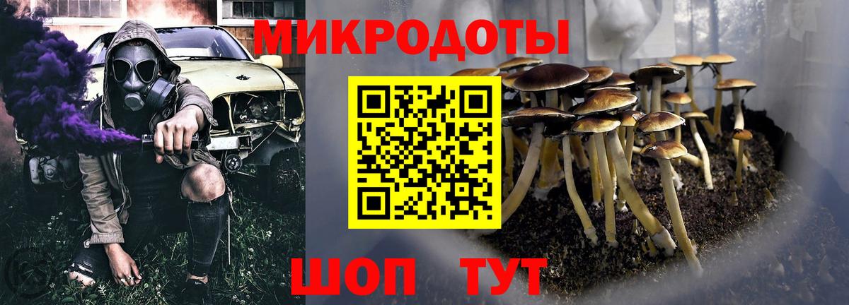 Псилоцибиновые грибы прущие грибы Ноябрьск